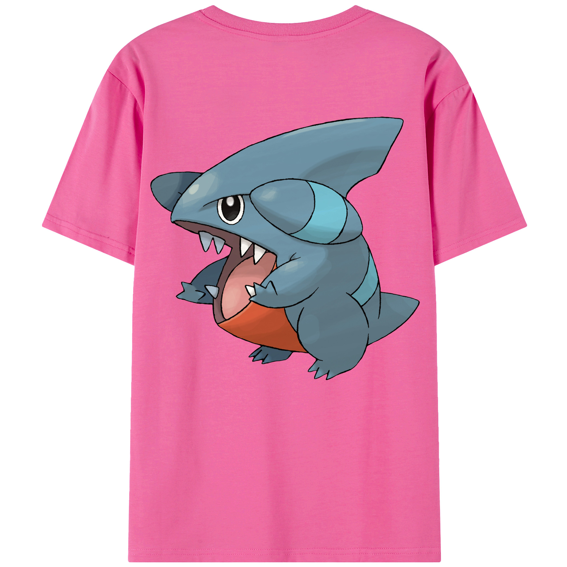 （画像用） ポケットモンスター Pokémon レディース半袖Tシャツ(バックプリント)